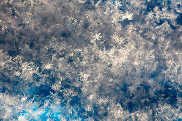 Close-up of snowflakes on a blue background. Macro
