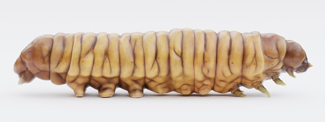 Realistic 3D Render of Wax Worm