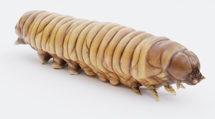 Realistic 3D Render of Wax Worm