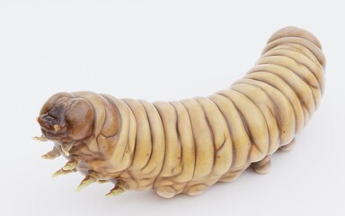 Realistic 3D Render of Wax Worm