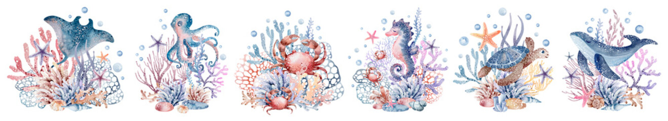 Underwater sea animals on an isolated background. Watercolor illustration of undersea. Ocean...