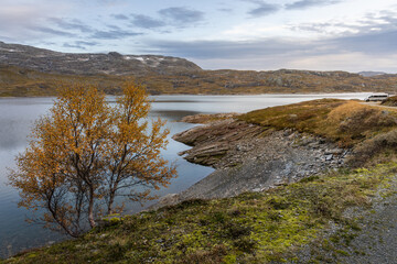 nordische Fell Landschaft, See im Hochland, Skandinavien