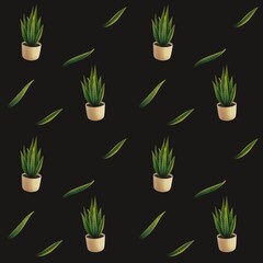Home plant illustration Snake Plant seamless pattern dark background