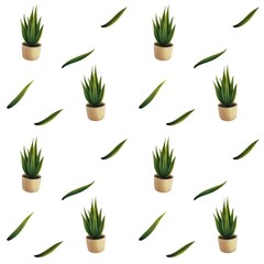 Home plant illustration Snake Plant seamless pattern white background
