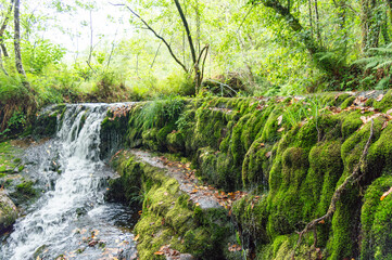 Waterfall