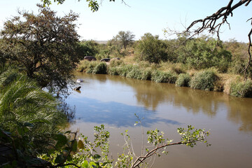 Ntandanyathi River - Krüger Park - Südafrika / Ntandanyathi River - Kruger Park - South Africa /.