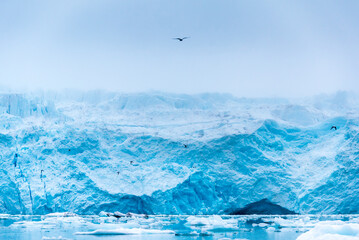 A glacier in Svalbard