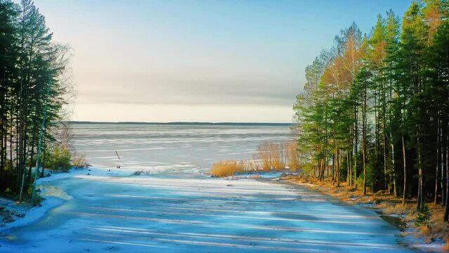 Precursor to Winter, Slender Ice Meets Pine Shadows and Brittle Grass. Aerial Drone Shot