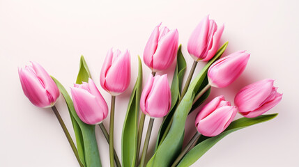 Bouquet of pink tulips on white background, top view