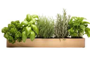 Indoor Herb Garden On Transparent PNG