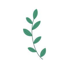 Obraz premium Illustration of a beautiful plant twig with green leaves on a transparent neutral background. Can be used as an element of your composition