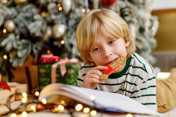 boy lays on floor near christmas tree, reads book of magic stories and bites gingerbread man...