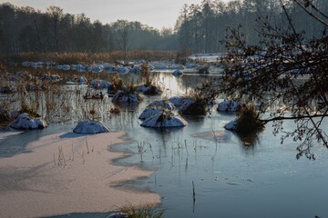 Pond