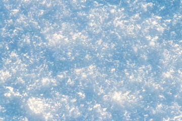 Texture of snow in sunny weather. Snow cover with snow crystals
