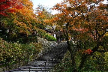 Fototapeta na wymiar Hasedera Temple and Beautiful Autumn Japanese Garden in Nara, Japan - 日本 奈良 長谷寺 秋の紅葉