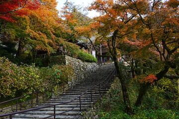 Hasedera Temple and Beautiful Autumn Japanese Garden in Nara, Japan - 日本 奈良 長谷寺 秋の紅葉