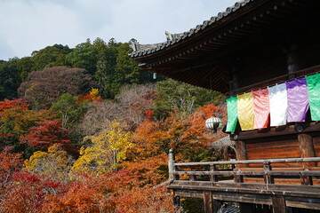 Hasedera Temple in Nara, Japan - 日本 奈良 長谷寺