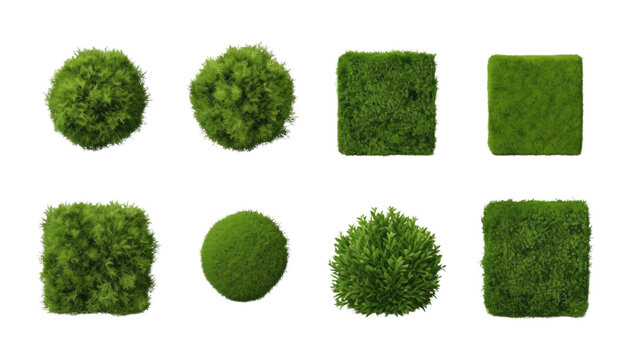 set of grass bush isolated on transparent background cutout