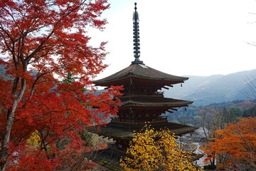 Naklejka premium Hasedera Temple and Beautiful Autumn Japanese Garden in Nara, Japan - 日本 奈良 長谷寺 五重塔 秋の景色