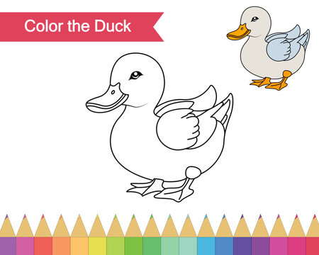 Coloring page for duck vector illustration. Kindergarten children Coloring pages activity worksheet with cute duck cartoon.
Duck isolated on white background for color books.