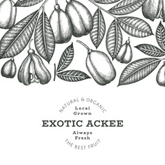 Hand drawn sketch style ackee banner. Organic fresh food vector illustration. Retro exotic fruit design template. Engraved style botanical background.