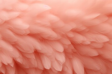 Beautiful pink feathers background in pastel colors. Closeup of colorful fluffy feather. Peach fuzz - color of the year 2024. Minimal abstract pattern with copy space