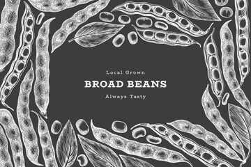 Hand drawn broad beans design template. Organic fresh food vector illustration on chalk board. Retro pods illustration. Botanical style cereal background. - obrazy, fototapety, plakaty