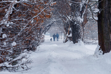 Zimowy krajobraz, Czechowice Dziedzice, staw Kopalniak Polska  © Elżbieta Kaps
