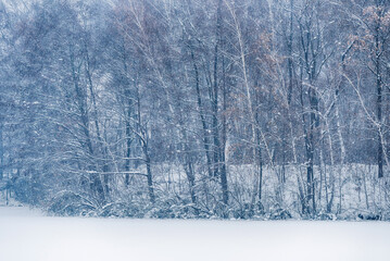Zimowy krajobraz, okolice Wisły Czechowice Dziedzice, staw Kopalniak Polska  © Elżbieta Kaps
