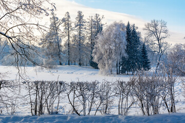 Winter in Catherine park, Tsarskoe Selo (Pushkin), Saint Petersburg, Russia