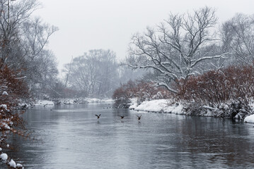 Zimowy krajobraz, okolice Wisły Czechowice Dziedzice, Polska  © Elżbieta Kaps