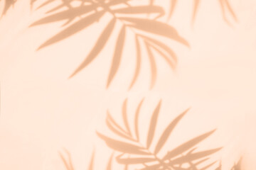 Background with color of the year -2024. The shadow of the leaves of a tropical plant. Copy space,...