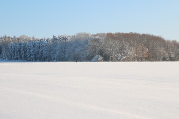 Fototapeta na wymiar Schnee soweit das Auge reicht, bis hin zum Wald. Bayern im Dezember, ein Winter Wunderland.