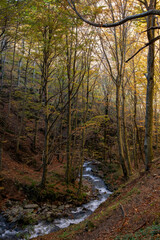 Sentiero per il Santuario della Madonna del Faggio, Porretta Terme, città metropolitana di Bologna, Emilia Romagna