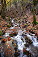 Obraz premium Sentiero per il Santuario della Madonna del Faggio, Porretta Terme, città metropolitana di Bologna, Emilia Romagna