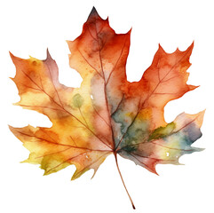 Fototapeta premium Watercolor illustration of a autumn leaf. Transparent background, png. Ai generated.