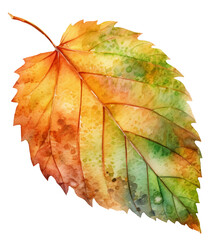 Watercolor illustration of a autumn leaf. Transparent background, png. Ai generated.