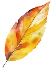 Watercolor illustration of a autumn leaf. Transparent background, png. Ai generated.