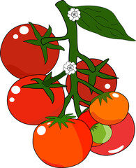 Red tomatoes 