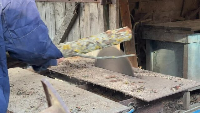 a man saws old trees at a sawmill