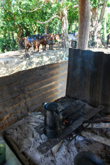 Obraz premium View at a cafe on the fire in the rural countryside near Vinales, Cuba
