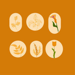 Obraz premium Botanical logo, plants, logo