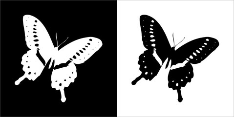 Illustration vector graphics of butterfly icon