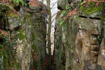 Devil Gorge at the Eifel, Teufelsschlucht with mighty boulders and canyon, hiking trail in Germany,...