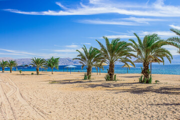shore line sand of Red sea beach vacation resort style photography touristic concept sunny scenic view with water and palm trees