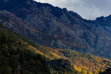 Clocher de l'abbaye catalane depuis Vernet émergeant de la foret aux couleurs d'automne