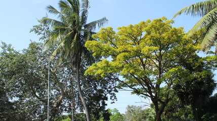 Capture the essence of nature's bounty through enchanting photographs of a serene farmstead, a lush palm tree garden, and a pristine water source.