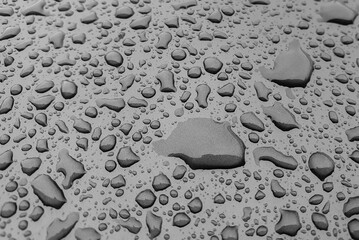 water drops on the glossy surface in black and white