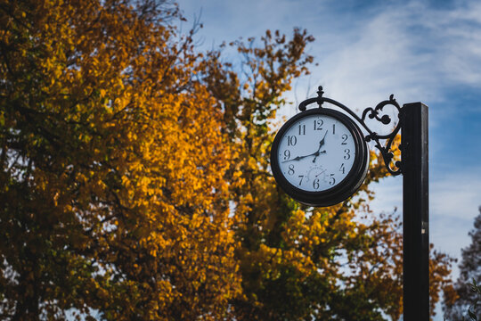Vintage street clock in autumn season leaf