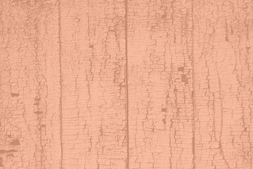 Peach Fuzz color wood texture monochrome background. Wood texture with natural pattern. Color of the year 2024.